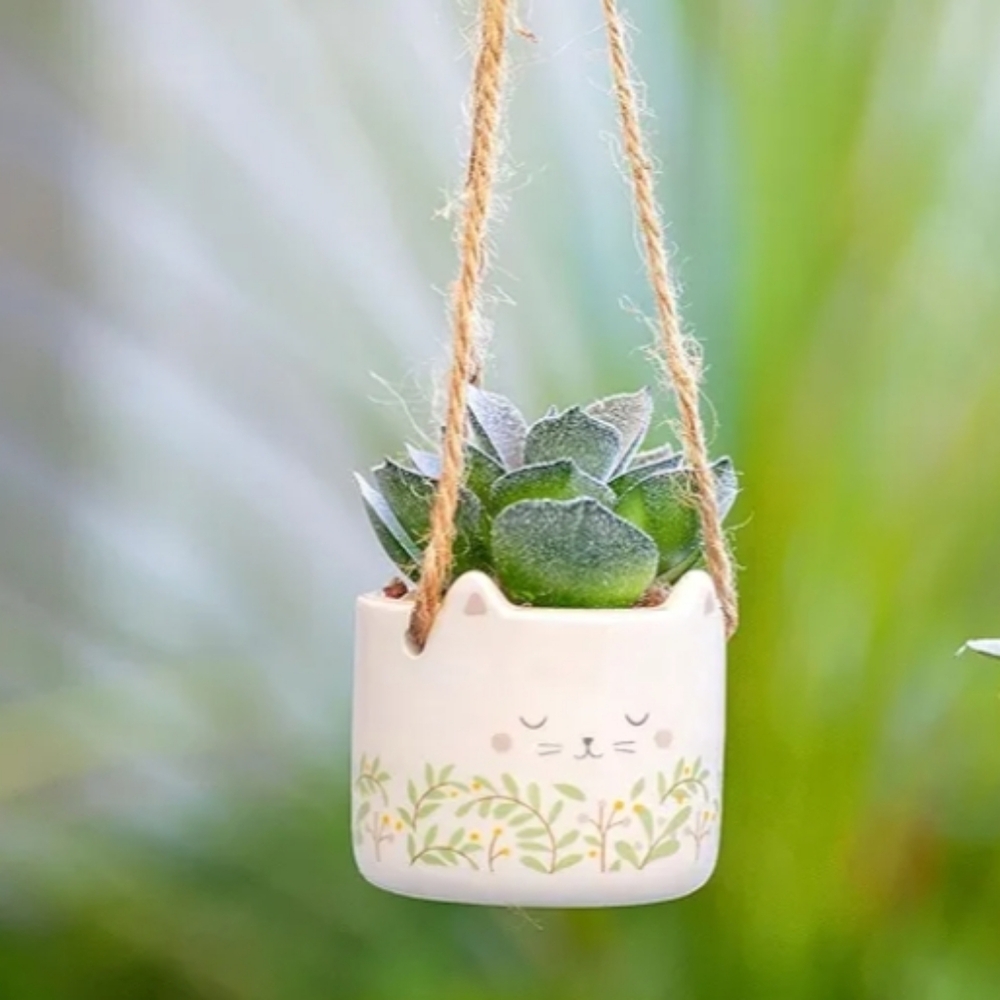 Karma Shaped Hanging Succulent Pot Cat